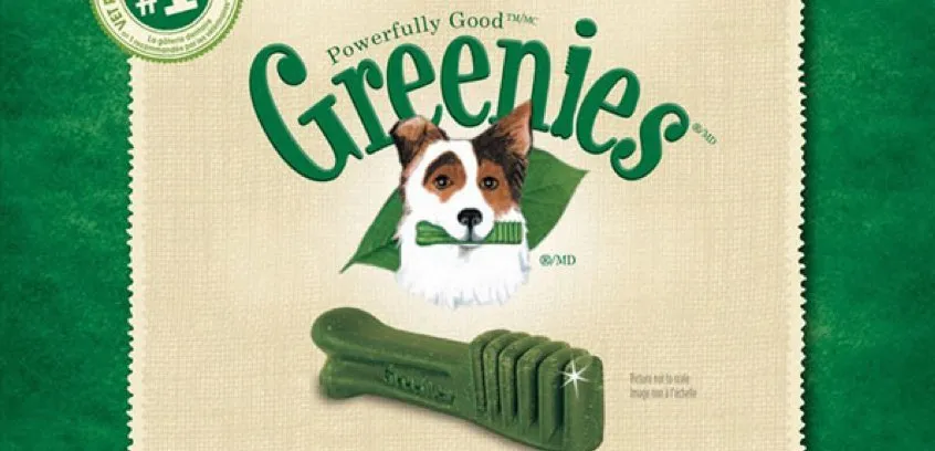 Greenies best sale dental sticks