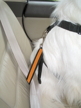 Kurgo Tru-Fit Smart Harness with Seat belt tether