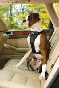 Kurgo Tru-Fit Smart Harness with Seat belt tether