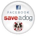 Save-a-Dog Facebook application: a cause app to help shelter dogs and rescue puppies