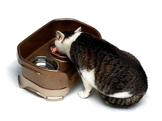 Neater Feeder for cats