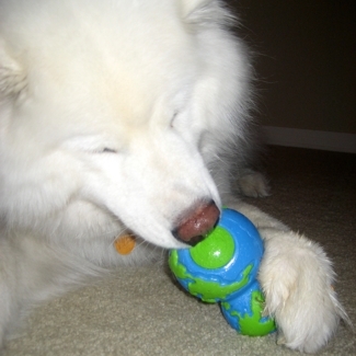 Sasha & Orbee Large Dog Toy