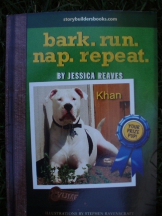 Khan on bark. run. nap. repeat.