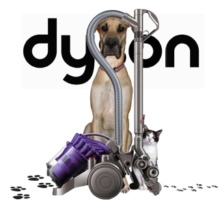 Shakespeare & Dyson Animal Vacuum