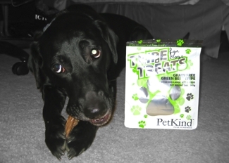 Sydney with her Green Beef Tripe Treat