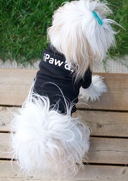 iStyle iPaw'd t-shirt