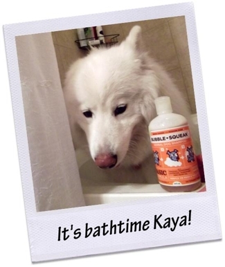 Kaya with Olive Bubble + Squeak Shampoo
