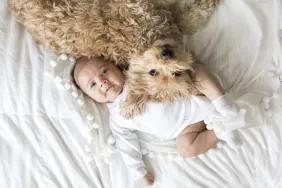 new baby in bed with dog