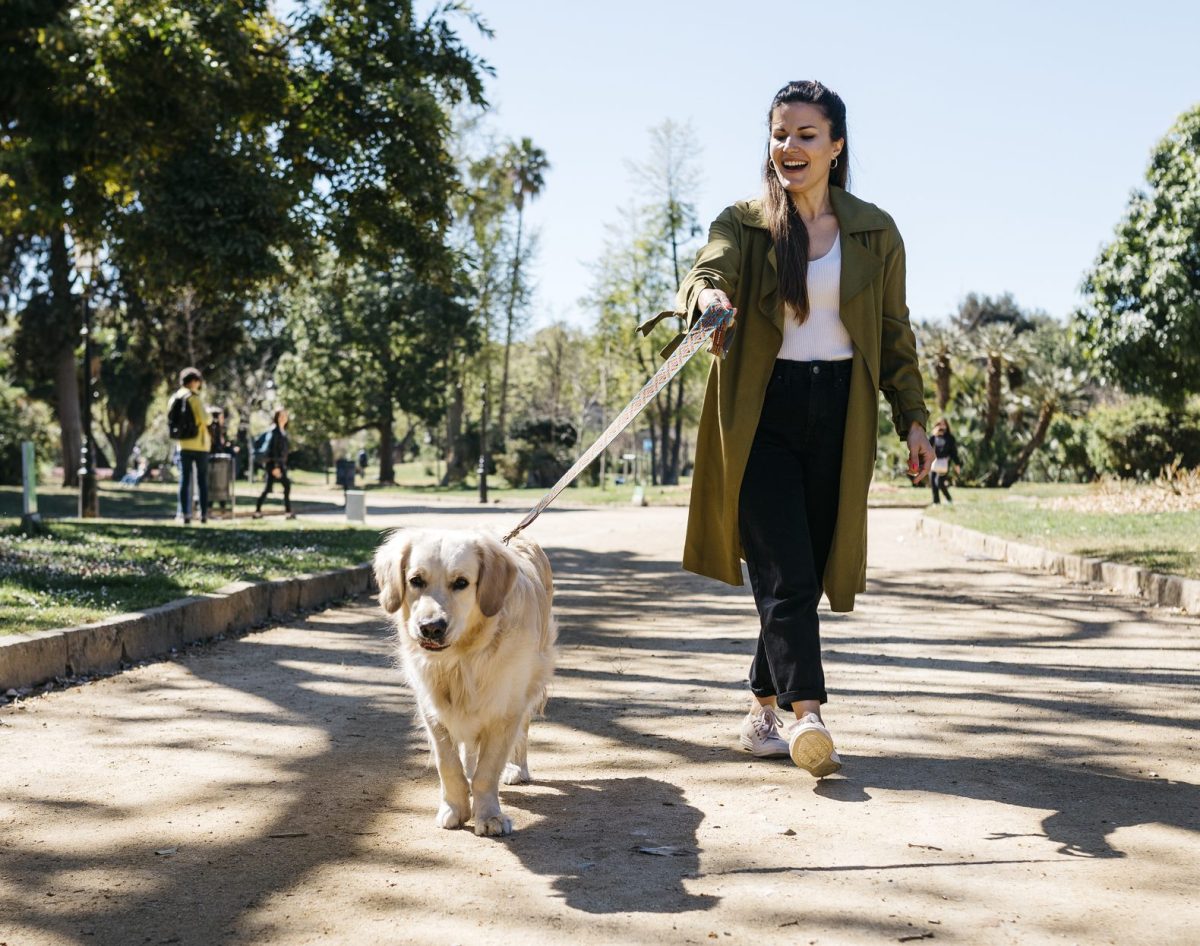 How to pick the right dog walker