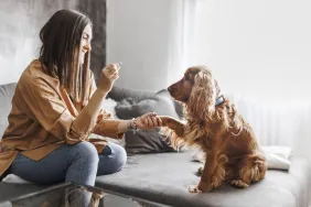 young woman training dog with positive reinforcement and treat reward