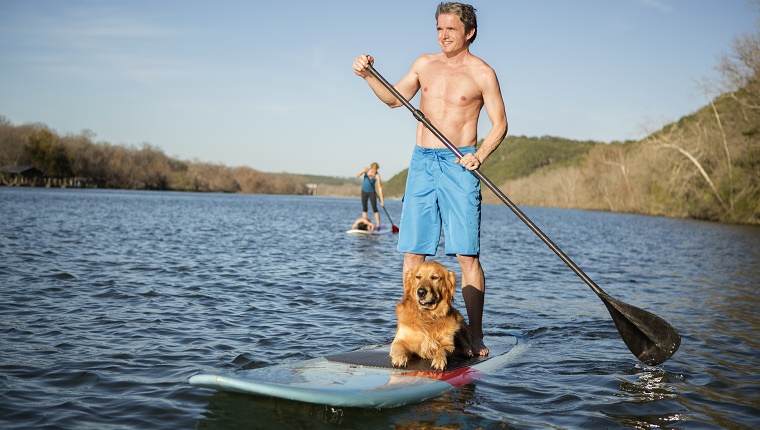 A man paddles a paddle board with a dog sitting by his feet.