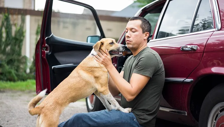 Man sitting beside car playing with dog