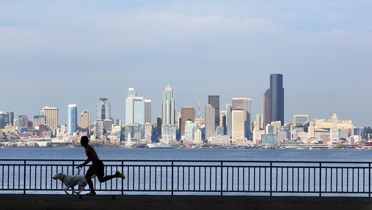 A man on his skateboard skates with his dog in front of the Seattle skyline.