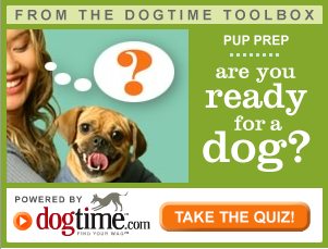 Dogtime hot sale dog quiz