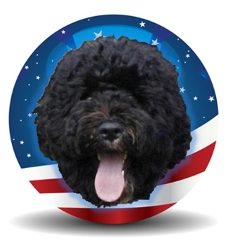 Bo Obama Dog Blog