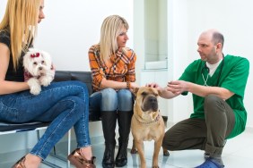 Owners Sitting In Vets Reception Area