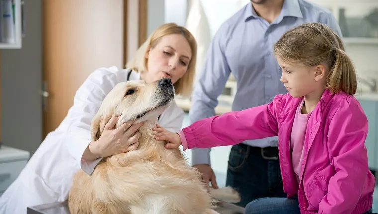 A female veterinarian talking to a dog owner about the pet's health.