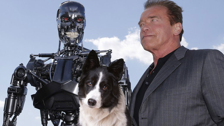 the terminator, arnold, and a dog