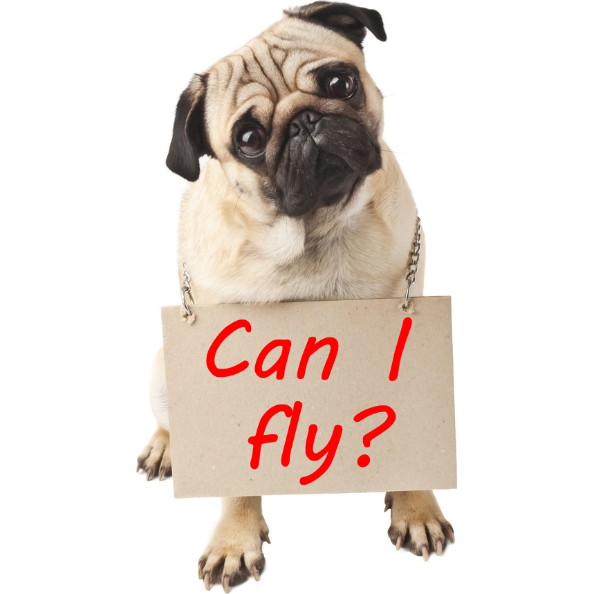 Dog breeds banned from United Airlines DogTime