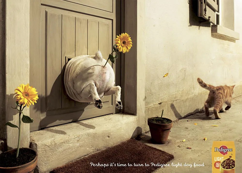 Alternate best dog and cat print ads DogTime