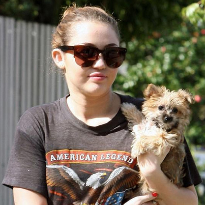 Miley Cyrus mourns the death of her dog DogTime