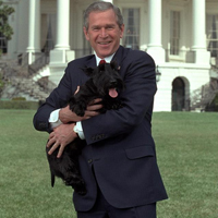 Former First Dog, Barney Bush has passed away - DogTime