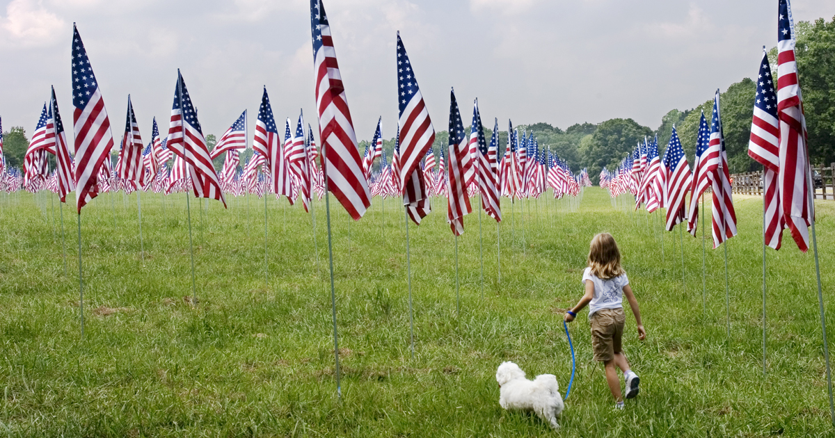 25 dogs celebrating Flag Day