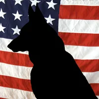 September is National Service Dog Month - DogTime