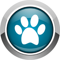 The ultimate in pet entertainment: Jolly Dog [Awesome Apps]