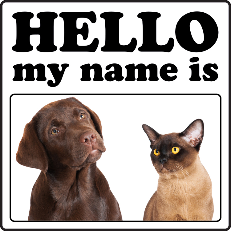 Top 10 most popular dog and cat names of 2013 DogTime