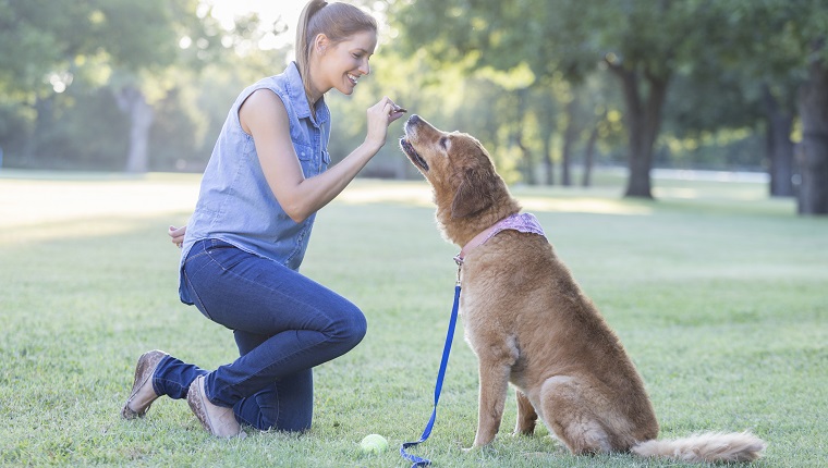 Beautiful mid adult Caucasian woman gives her dog a treat as she trains him. They are in a dog park.