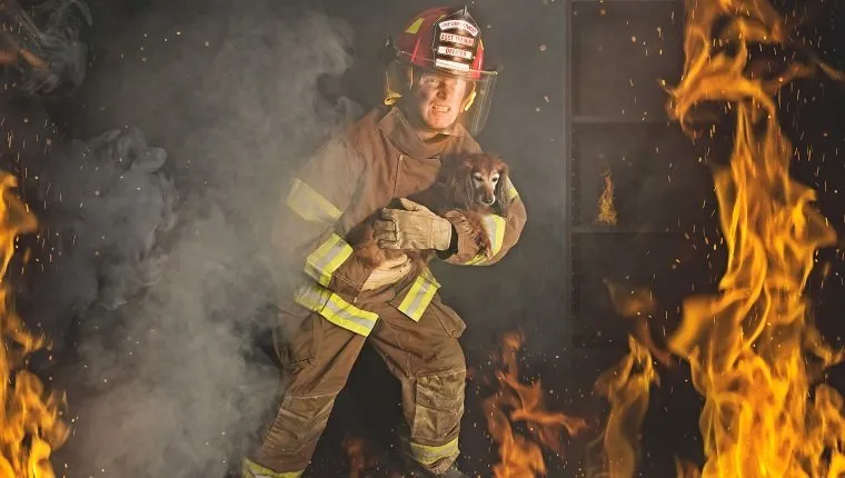 A Firefighter rescues a small dog from a fire.