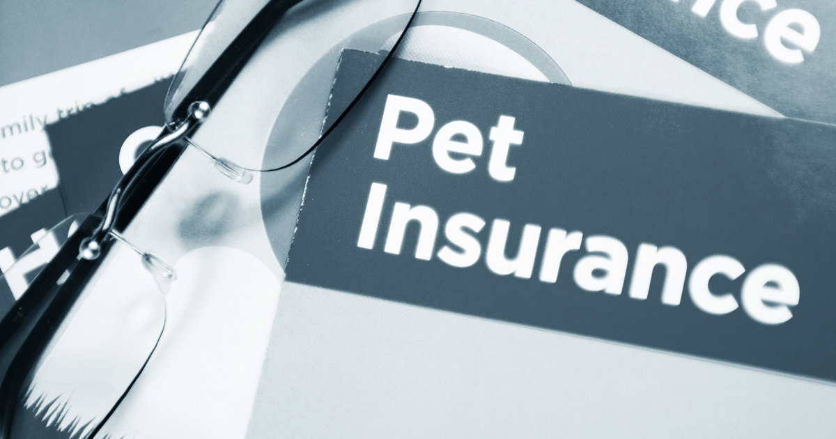 California law adds consumer protections to pet health insurance DogTime