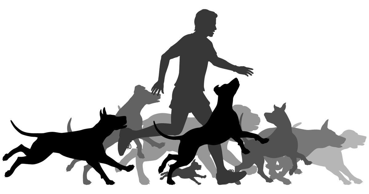 Tips for running with your dog