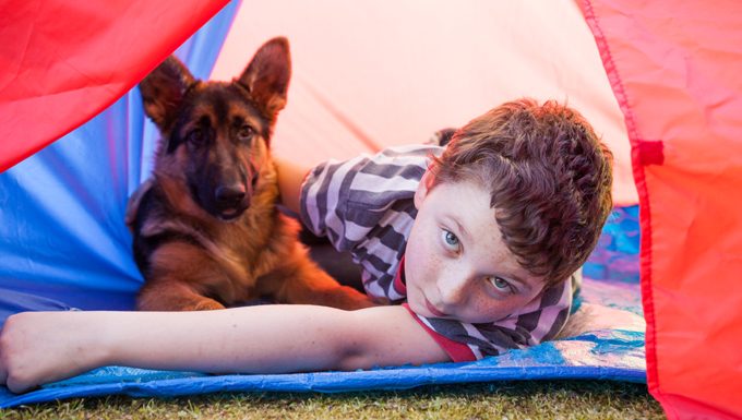 boy and german shepherd in tent