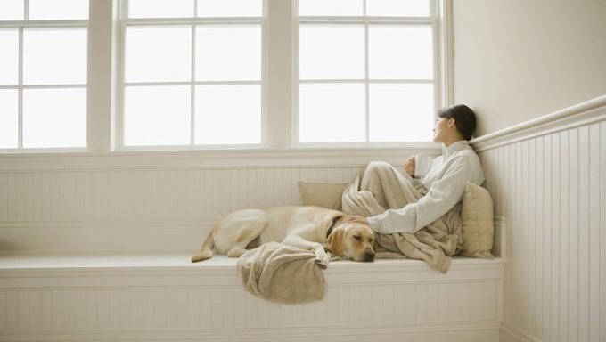 woman petting dog and looking out window