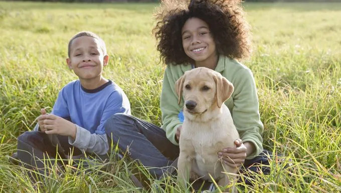 kids with dog in field