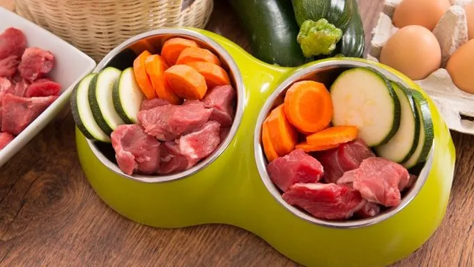 dog bowl with meat and vegetables