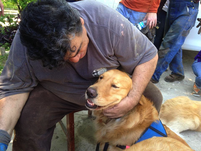 Dogs With Jobs K9 Comfort Dogs DogTime