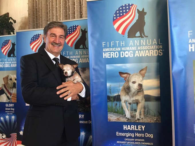 Harley's owner holds Harley in his arms next to a banner for the American Humane Association Hero Dog Awards.