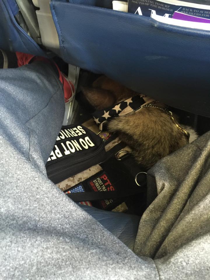 Axel sits beneath Jason's legs on the flight home.