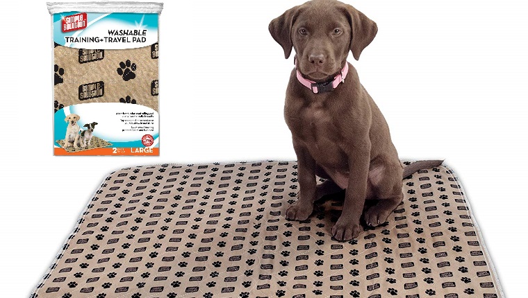 DogTime Review: Washable Wee Wee Pads Will Save You Money - DogTime