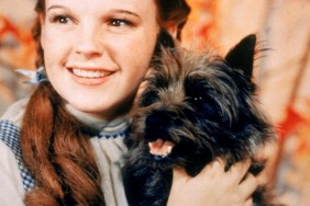 1939: American actor Judy Garland (1922 - 1969), as Dorothy Gale, holding Toto the dog for the film, 'The Wizard Of Oz,' directed by Victor Fleming.
