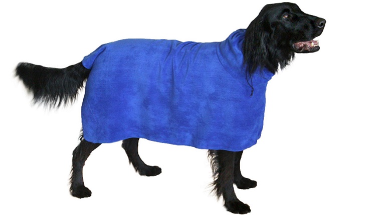 A black dog models a blue, wearable towel that looks like a bath robe for dogs against a white background.