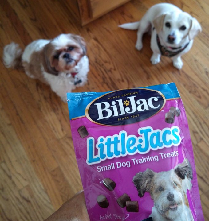 Little Jacs Training Treats Product Review DogTime