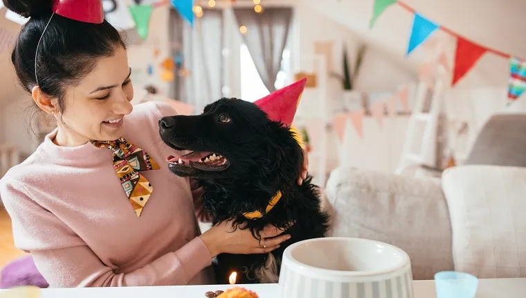 Young woman and her dog celebrating birthdays together