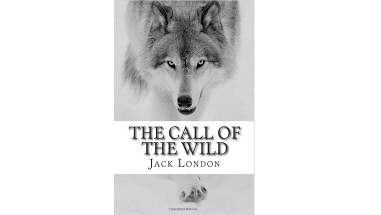 Cover art for The Call of the Wild. A wolf looks out from a snowy background.