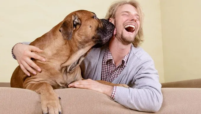 man laughing while dog licks his face