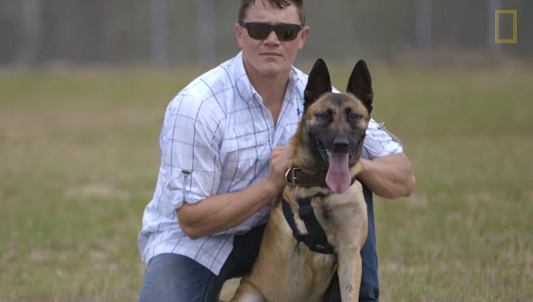 Soldier Adopts The Military Dog Who Saved His life In Afghanistan