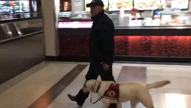 Brown walks through the mall with his service dog walking next to him on a leash.